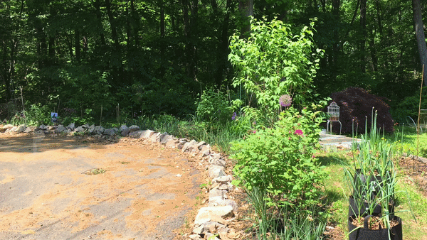 Superpowers of the Garden (part 2) - Cooking Subversive cover