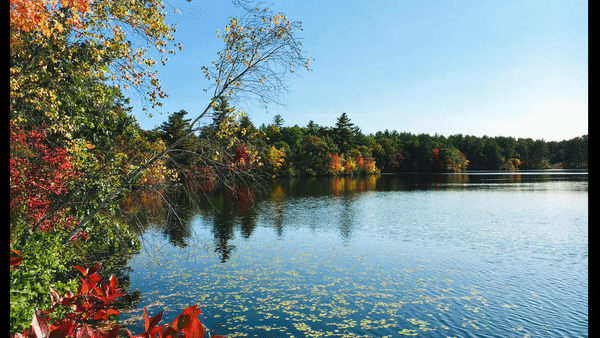 Thanksgiving Address - Cooking Subversive cover