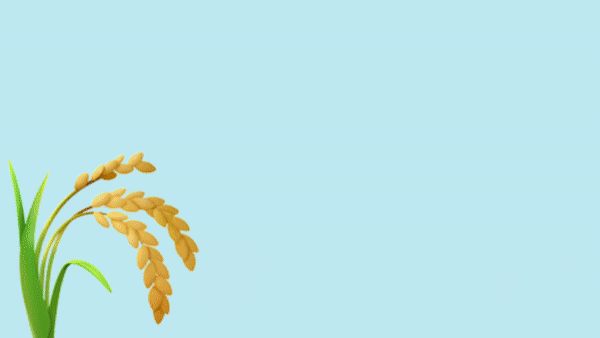 “I’ll Have The Poison on the Side Please.” Chemicals in our Food (part 1) - Cooking Subversive cover