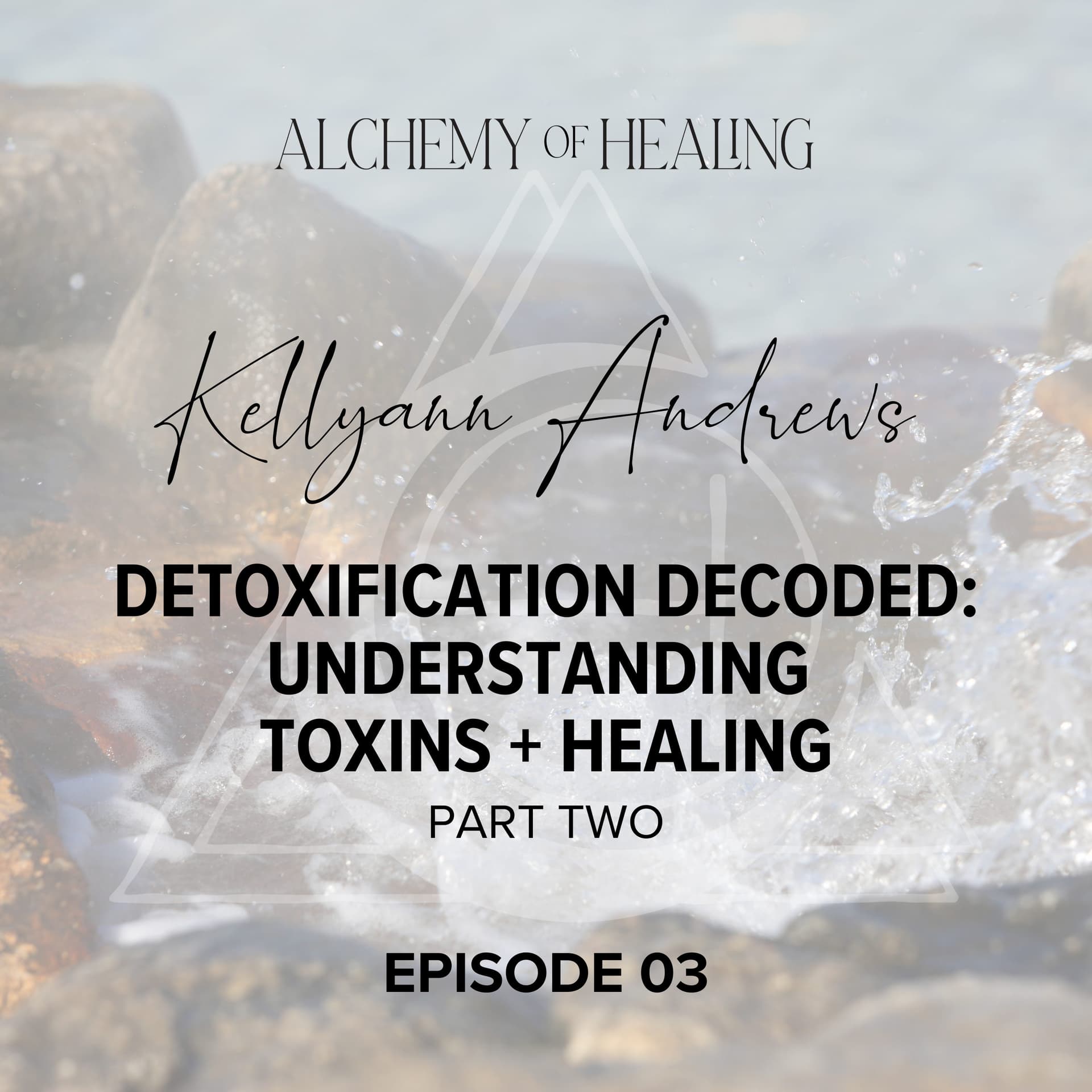 03. Kellyann Andrews | Detoxification Decoded: Understanding Toxins + Healing (Part Two) - Alchemy of Healing Podcast cover