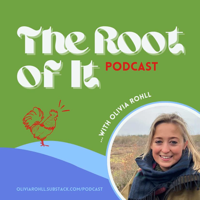 The Root of It Podcast cover
