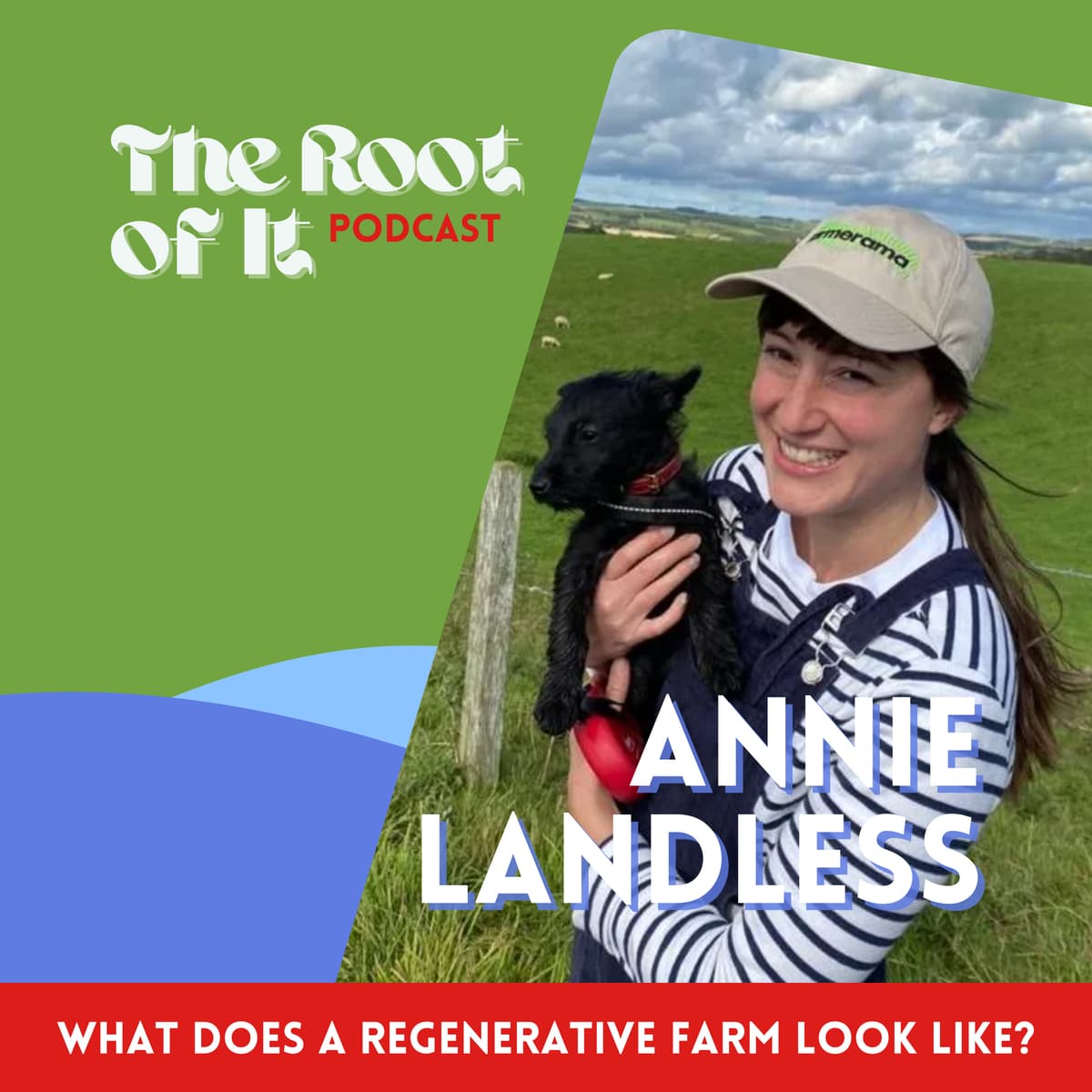 What does a regenerative farm look like - with Annie Landless - The Root of It Podcast cover