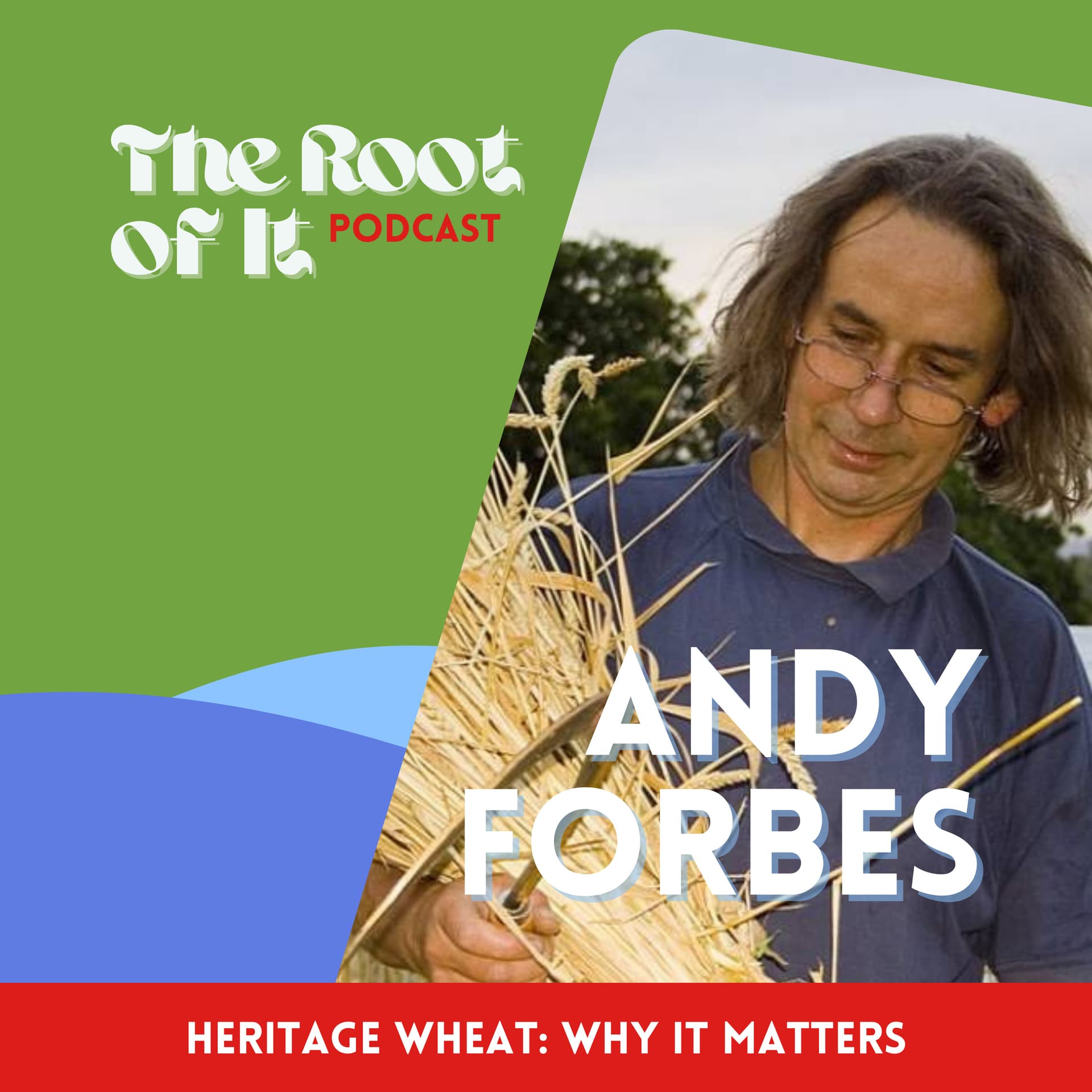 Heritage wheat: why it matters - with Andy Forbes - The Root of It Podcast cover