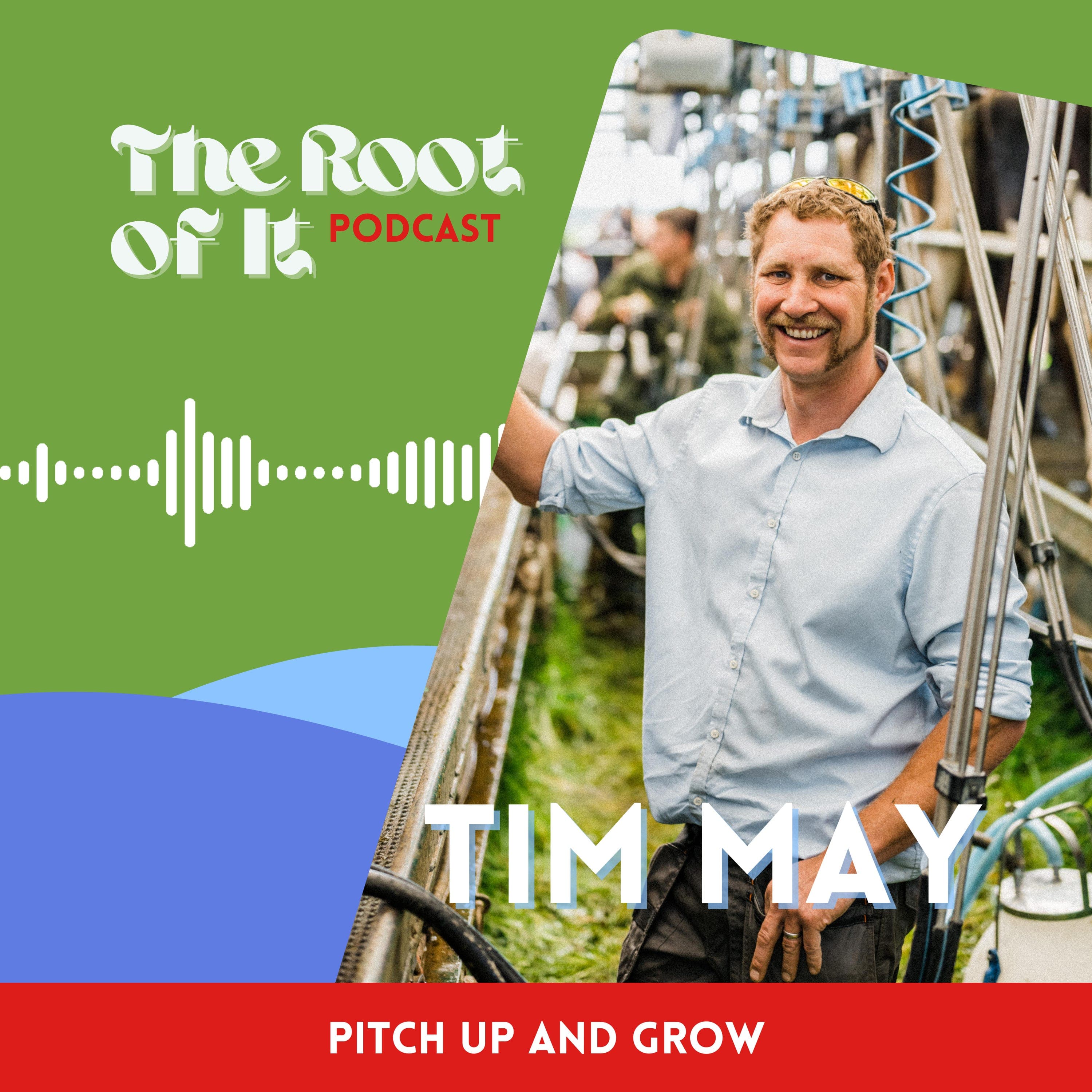 Pitch Up and Grow - with Tim May - The Root of It Podcast cover