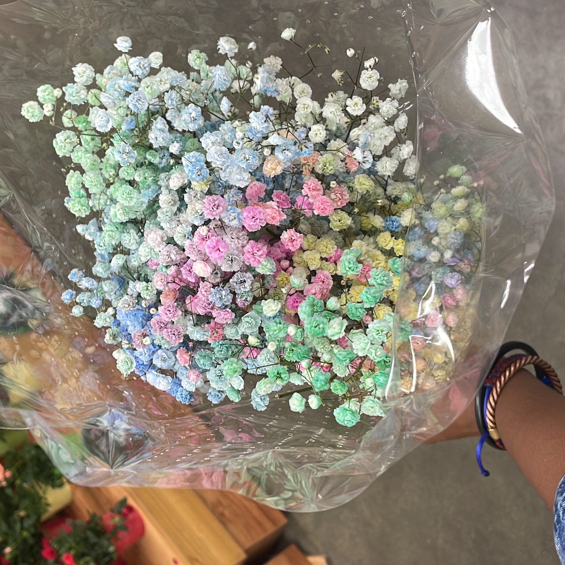 Shuffle Gods 1 - Your Welcome! cover