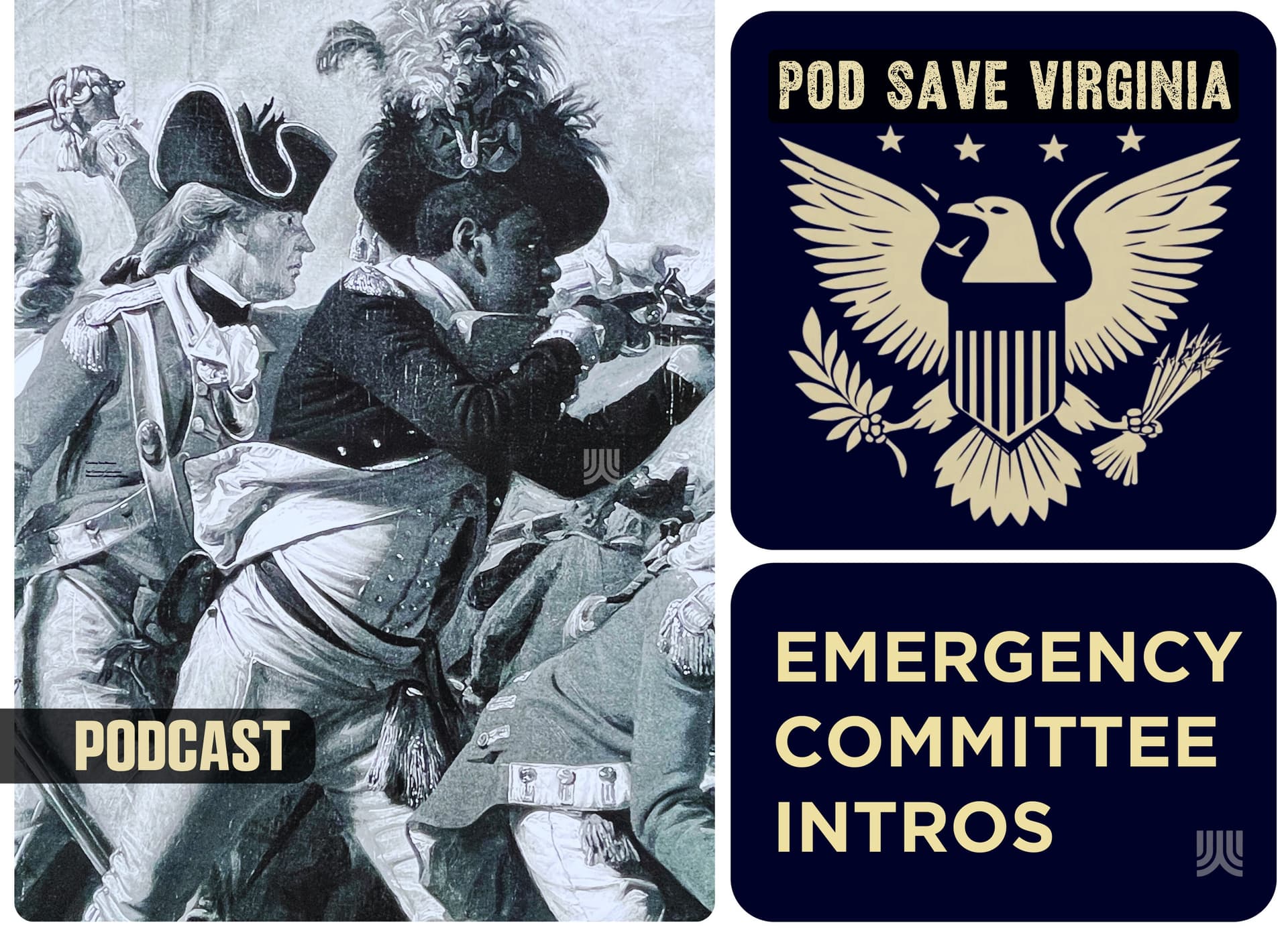 01 - Intro of Delegates on Virginia's Emergency Fed Workforce Reduction Cmte - POD SAVE VIRGINIA cover