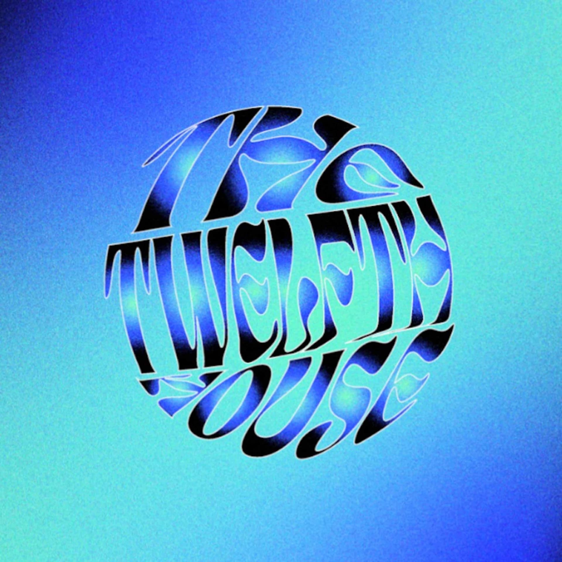 The Twelfth House cover