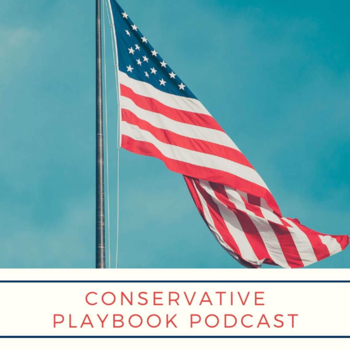 How to share Mike Lindell's 'Absolute Proof' or anything else that's controversial - Conservative Playbook cover