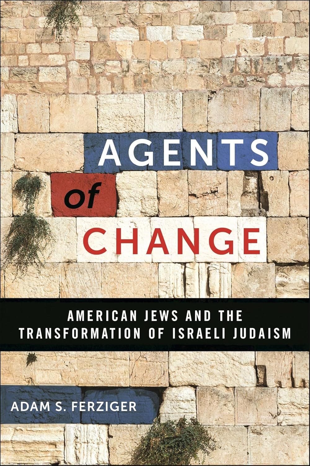 When even saying "have a Happy Passover" elicits a chuckle, you know people are starting to crack — Israel from the Inside with Daniel Gordis cover