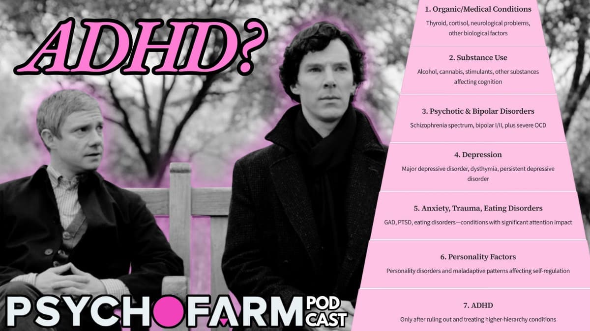 ADHD Is Not the Only Diagnosis: Differential and Diagnostic Hierarchy - Psychofarm Podcast cover