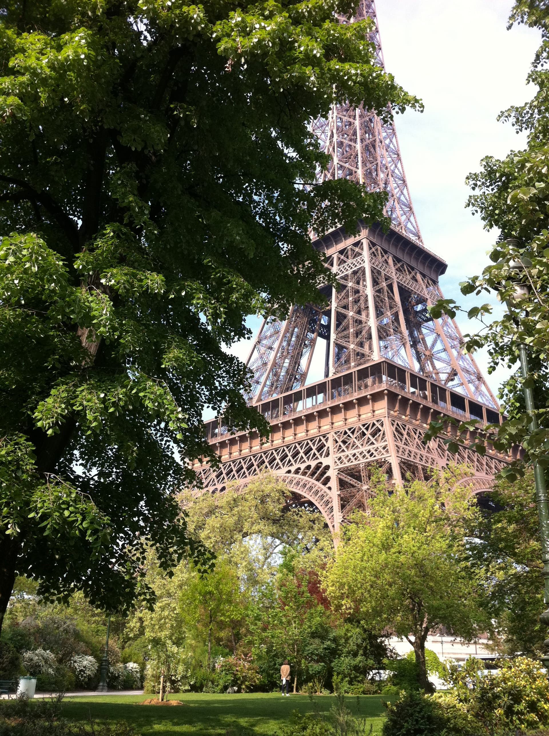 Everything I Need Is Already Right Here - The World We Need with Michelle Malanca Frey cover