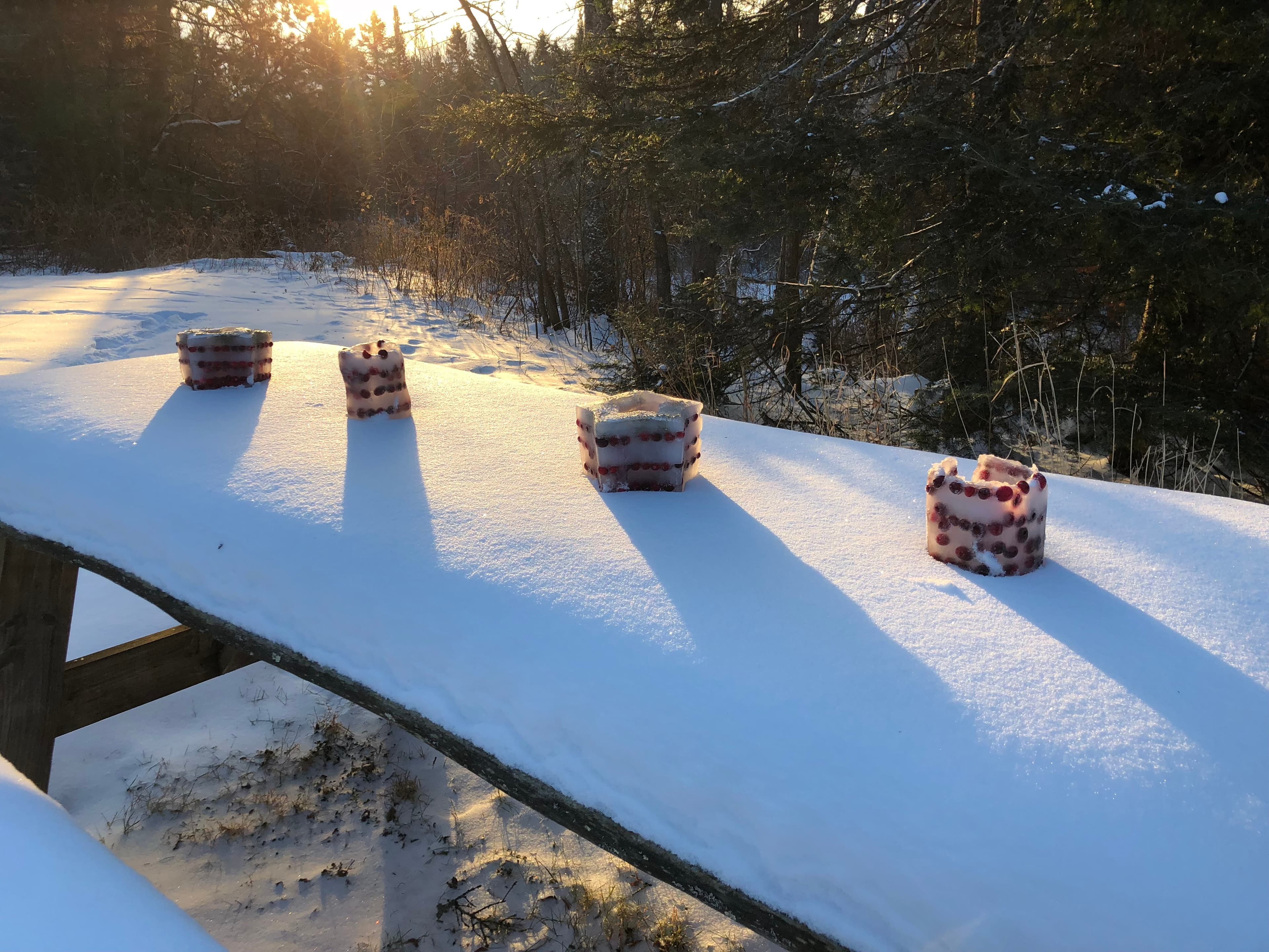 A Day in the Life of Advent - Never The Chameleon cover