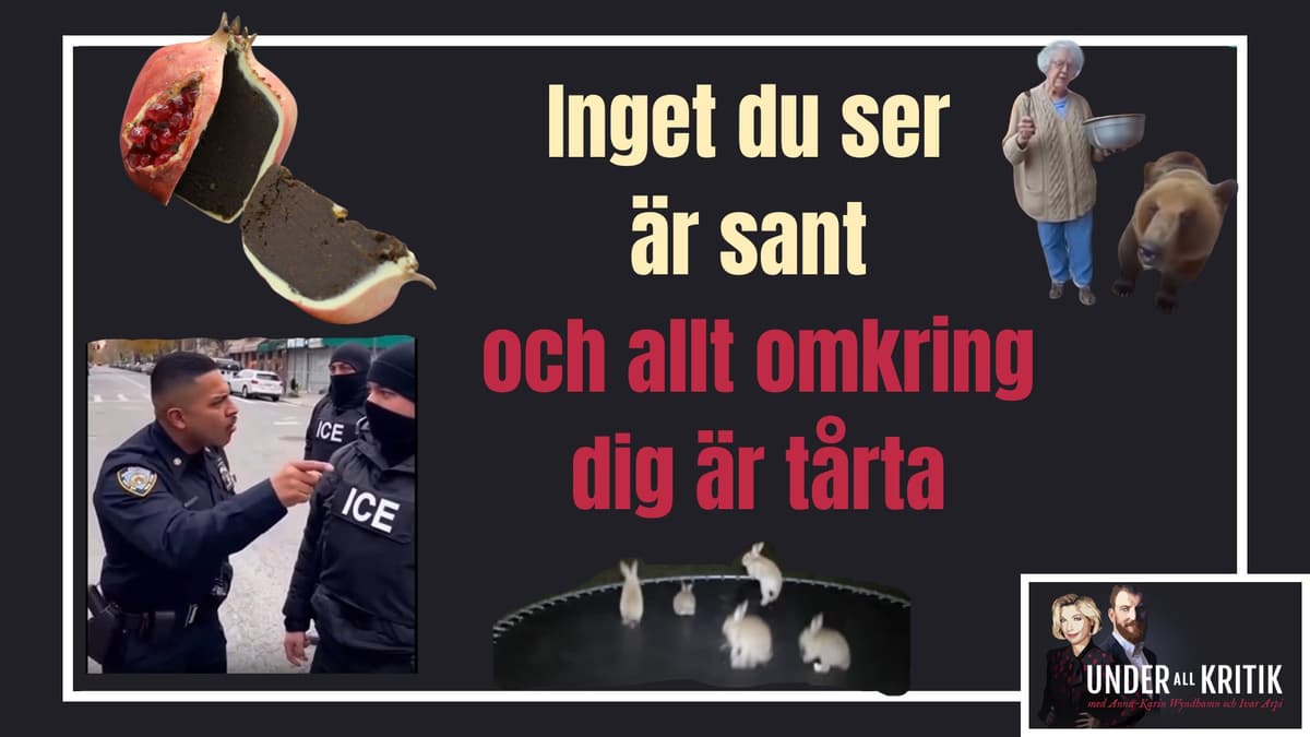 Inget du ser är sant och allt är tårta - Under all kritik cover