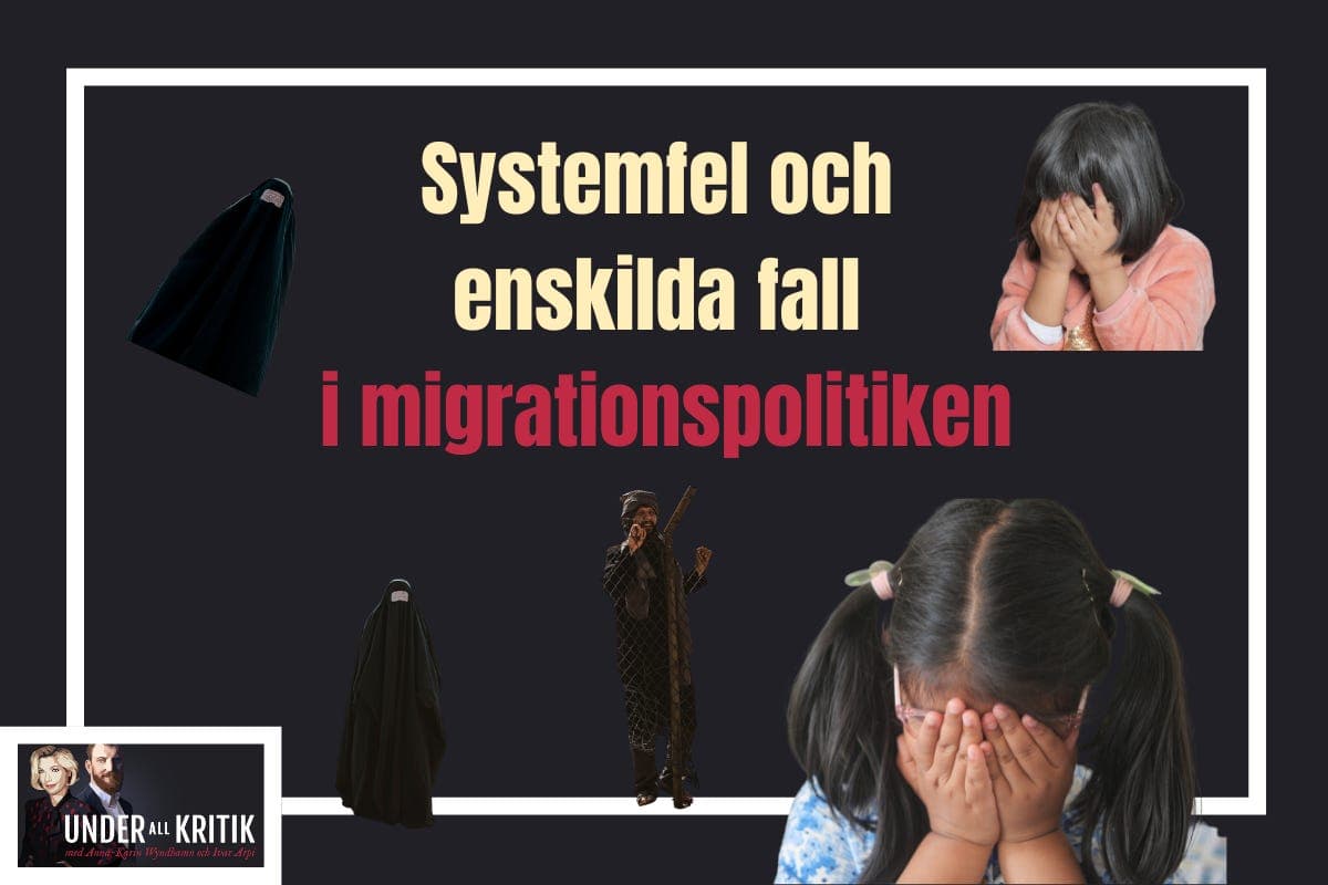 Systemfel och enskilda fall i migrationspolitiken - Under all kritik cover