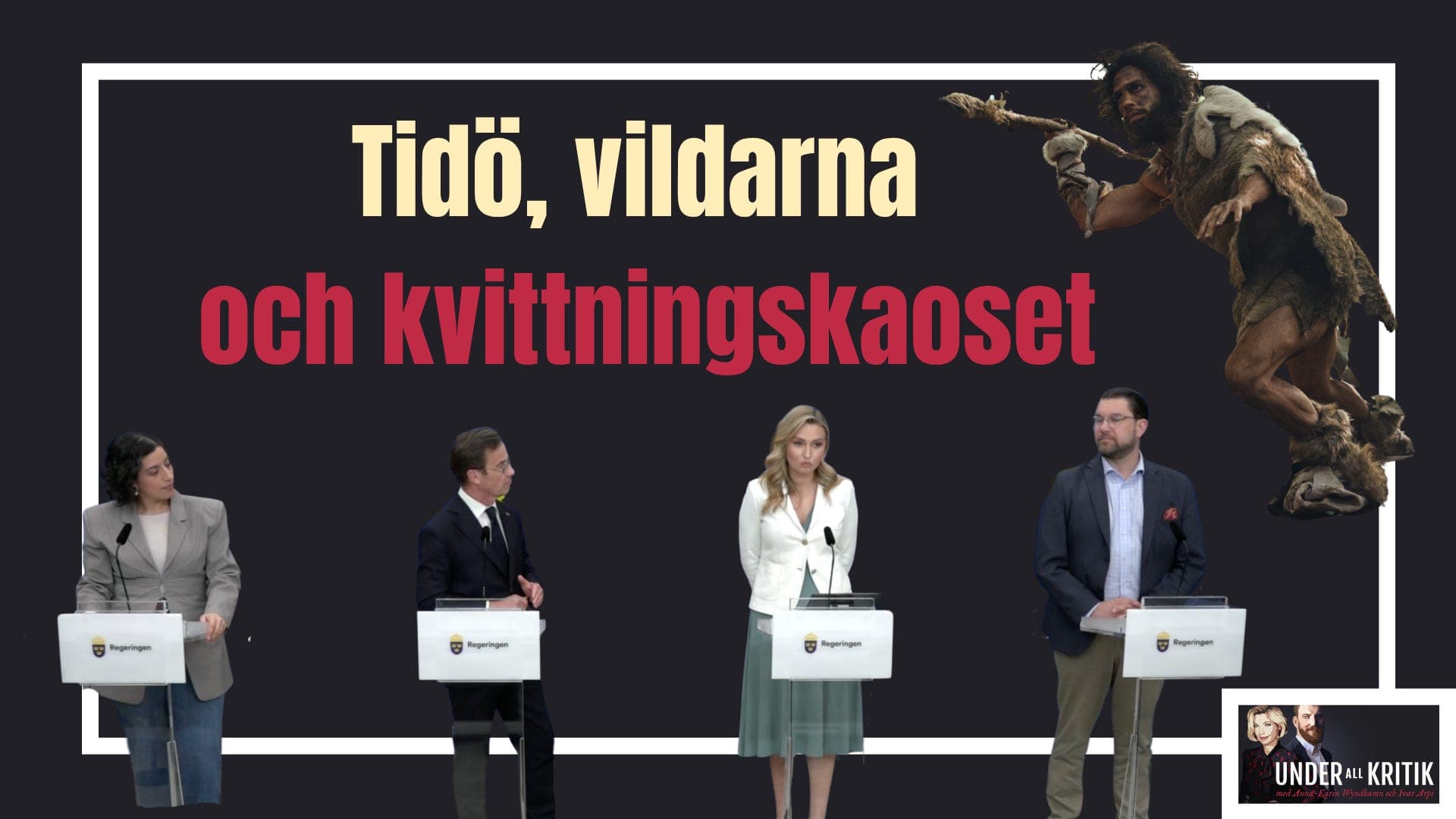 Tidö, vildarna och kvittningskaoset - Under all kritik cover