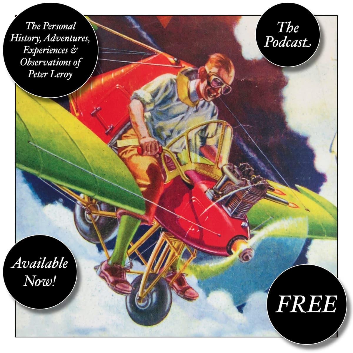 🎧 133: In one miserable week . . . - The Personal History, Adventures, Experiences & Observations of Peter Leroy cover