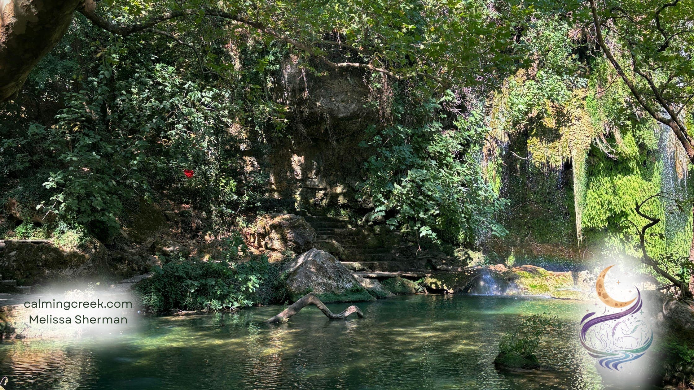 Guided Meditation: Practicing the Pause - Soulful Animal Insights Podcast cover