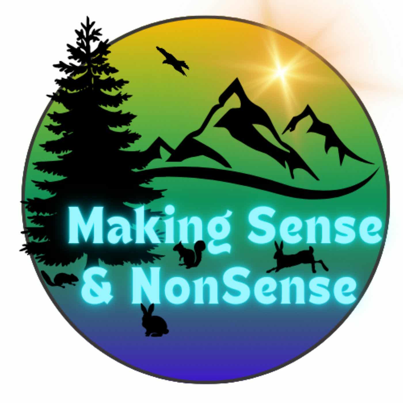 Making Sense and Nonsense cover