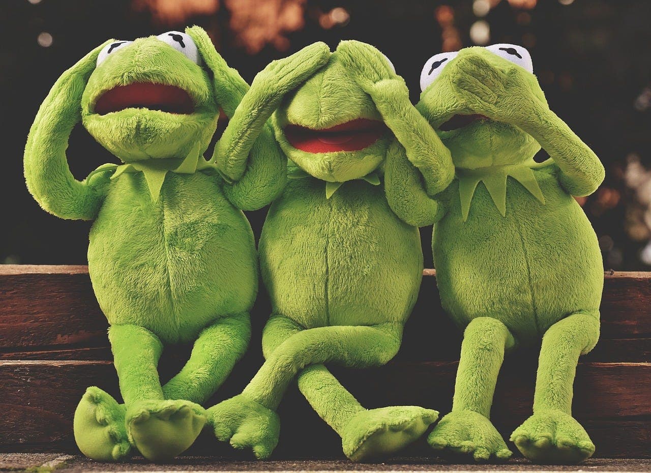 2: We Hear No Evil, See No Evil, Smell No Evil. We're Comatose for the Election! - Making Sense and Nonsense cover