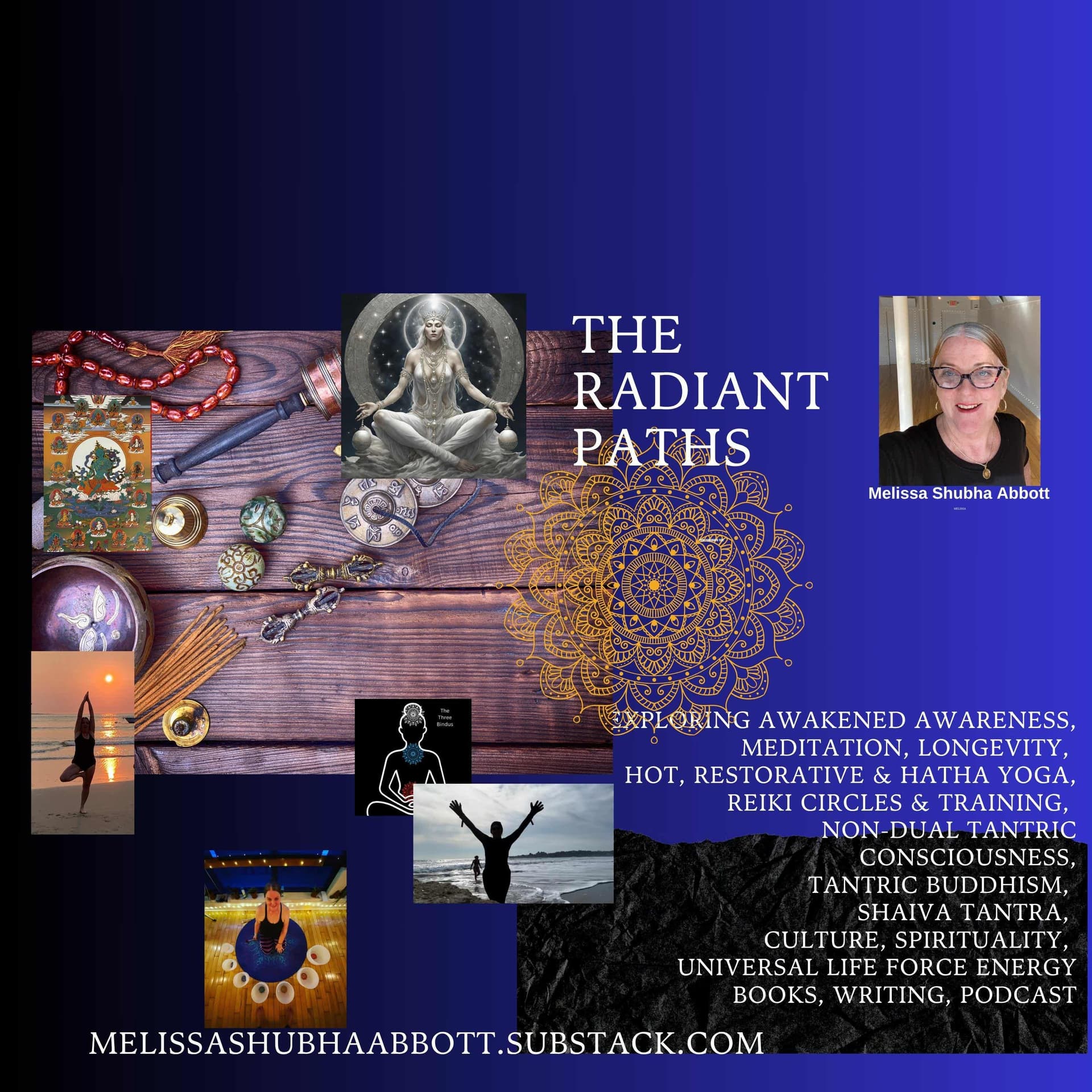 The Radiant Paths cover