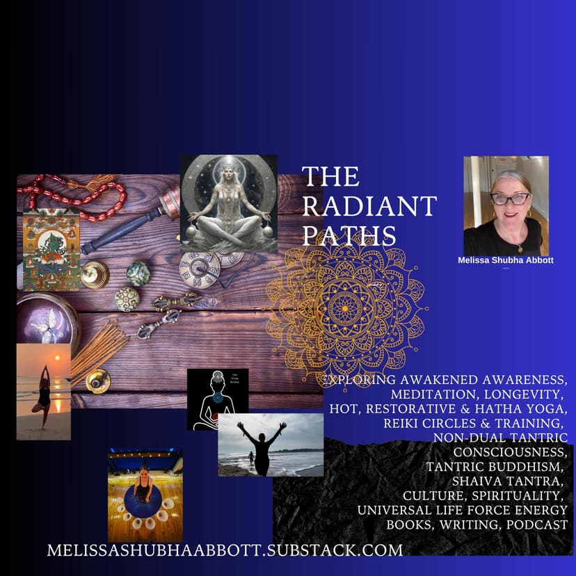 The Radiant Paths cover