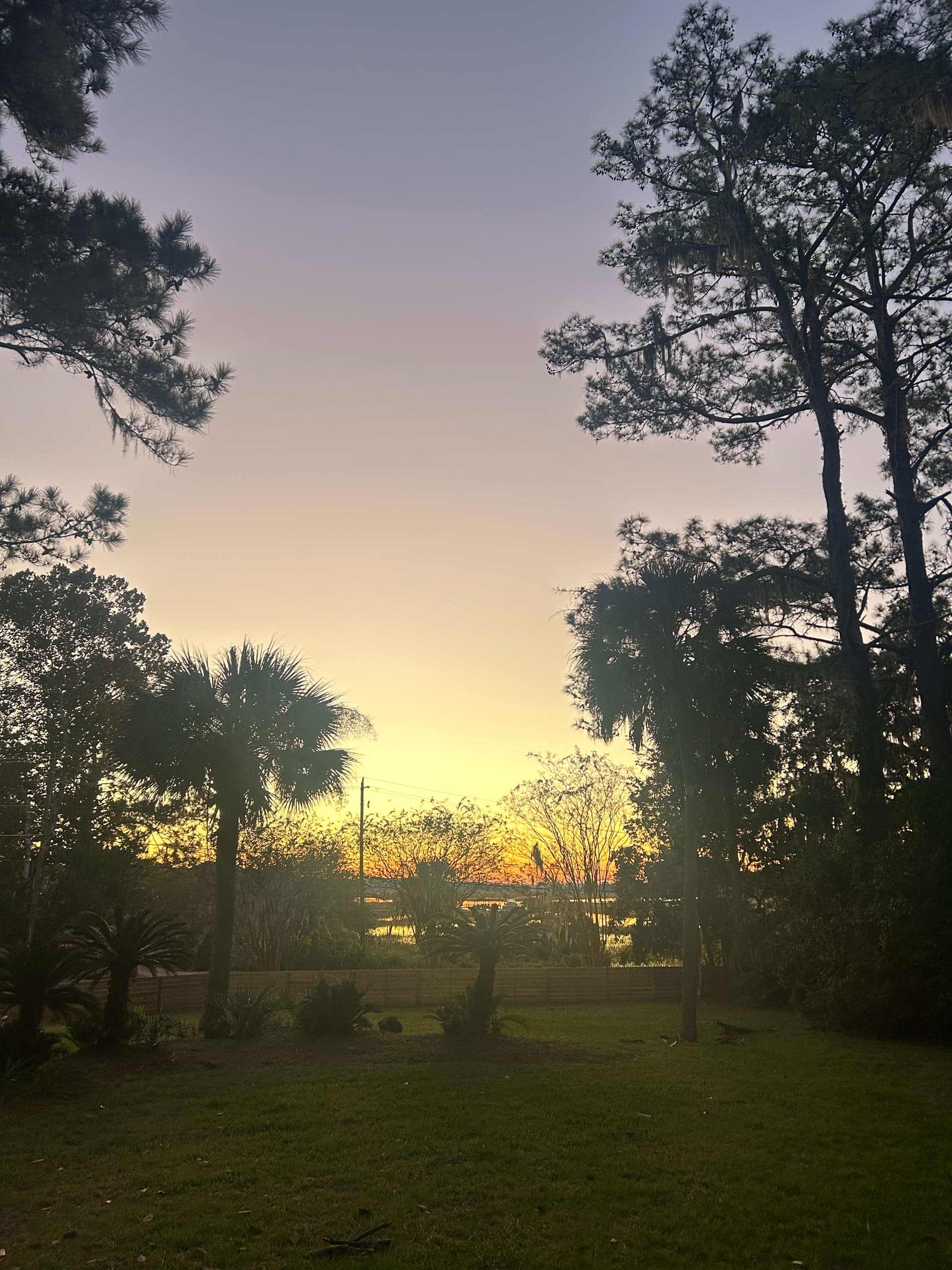 Some good news - American Doom  cover