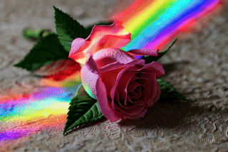 5Sigma Podcast: Episode 2 - The rose is not red - 5Sigma - The Nature Of Reality - Podcast cover