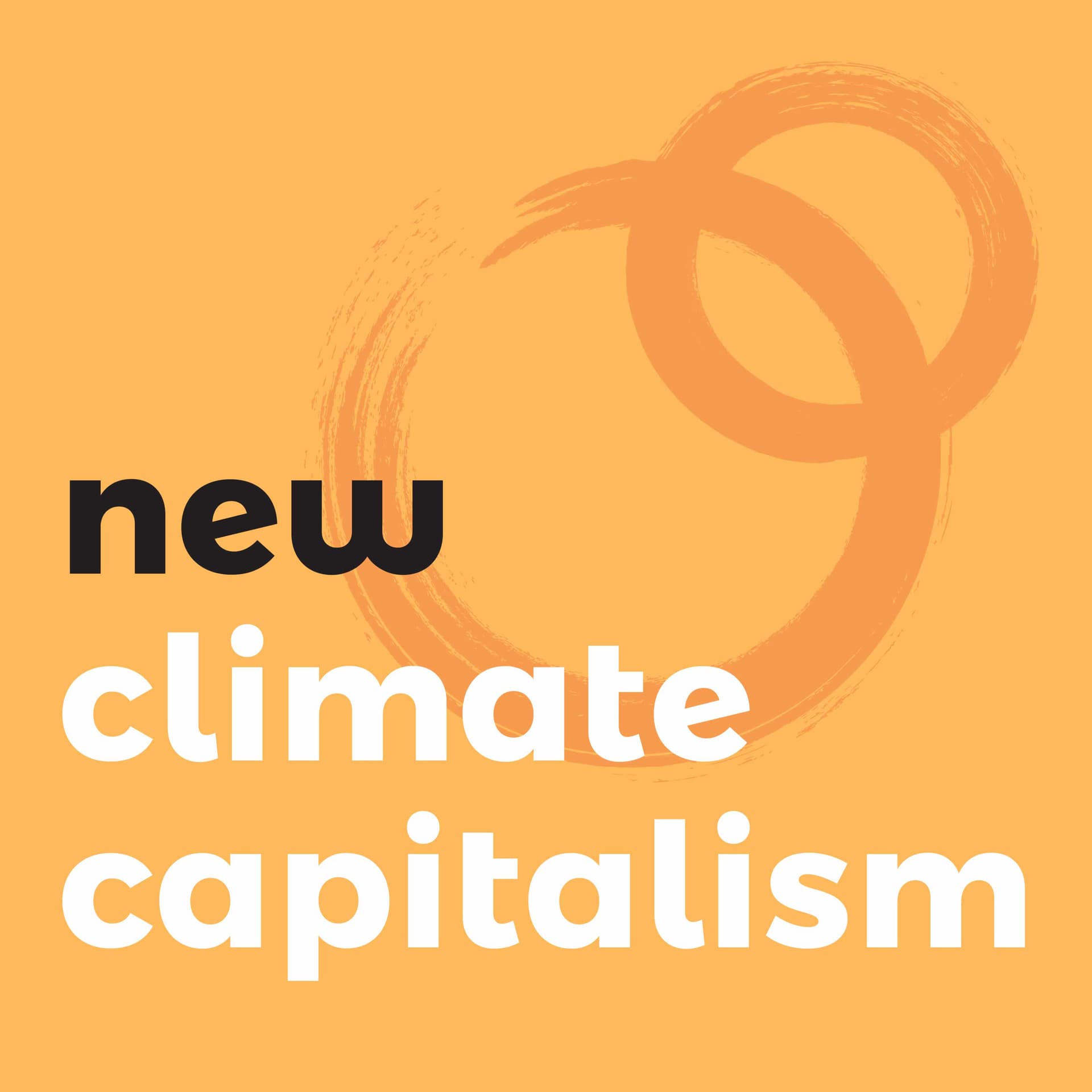 New Climate Capitalism cover