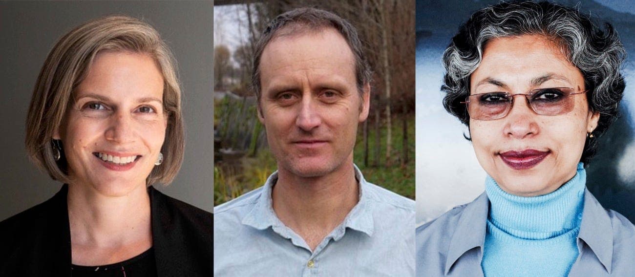 #24 The IPCC Big Edit: finance, net zero, and the human factor  - New Climate Capitalism cover