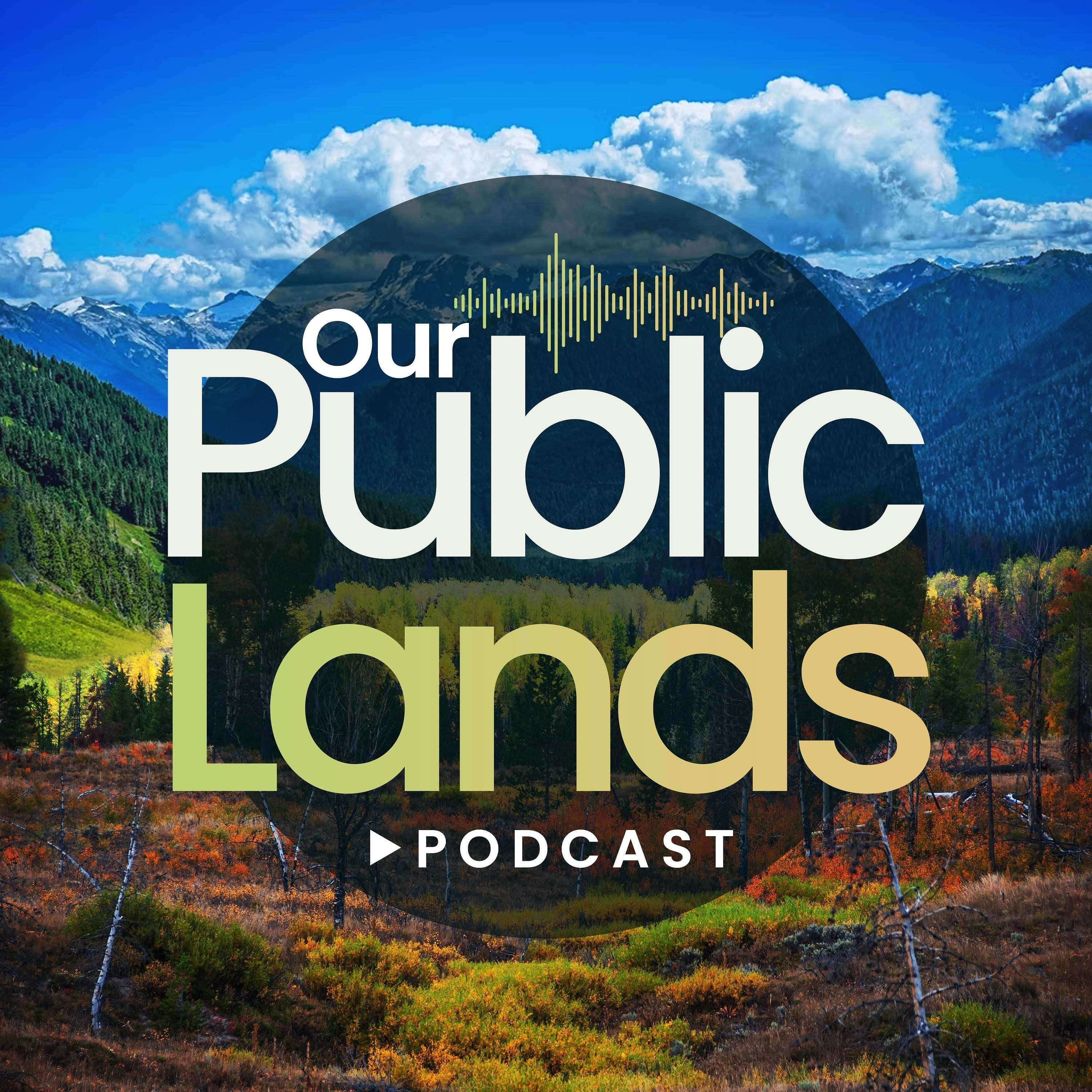 #60 - The Overlooked Ecological Costs of Pinyon-Juniper “Restoration” Treatments w/ Allison Jones - Our Public Lands cover