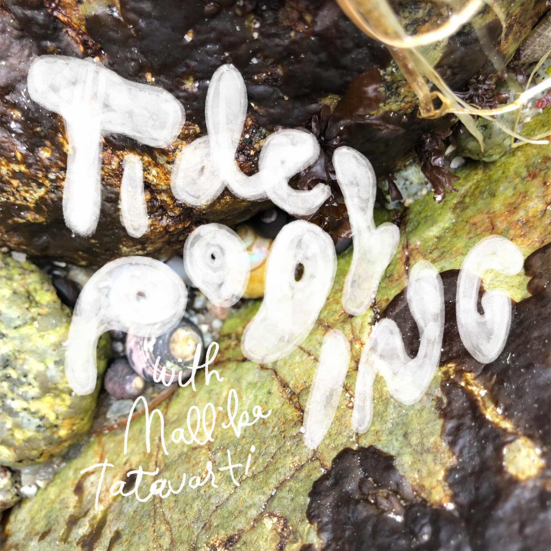 Tide Pooling cover