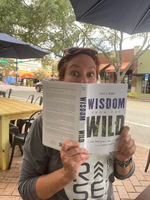 Pivot Point with author Julie C. Henry - PIVOT POINT cover