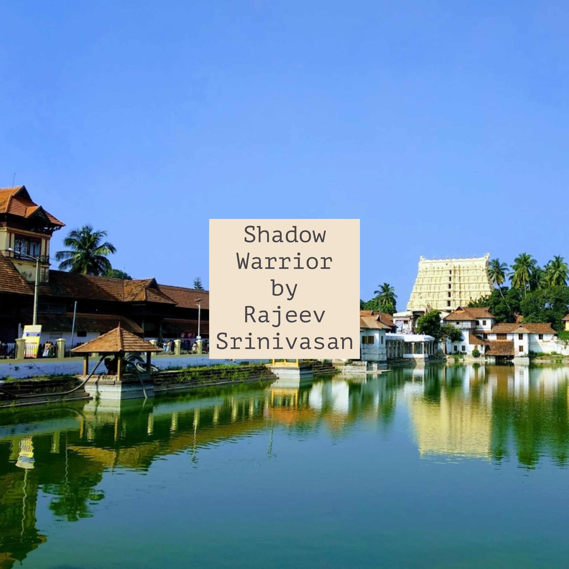 Shadow Warrior by Rajeev Srinivasan cover