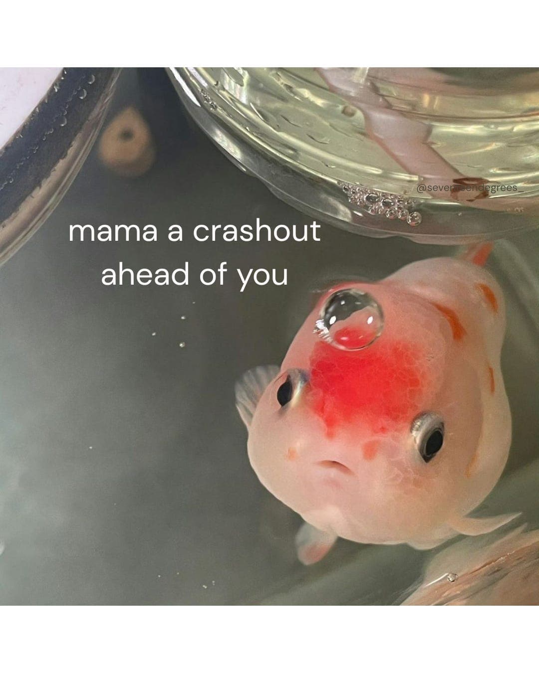 check your blind spots (literally, figuratively, spiritually); mercury retrograde in pisces! - Under the Influence cover