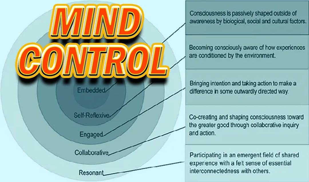 Is THIS the Reason So Many Liberals Have Lost Their Ever-Loving Minds? - The Torch Report cover