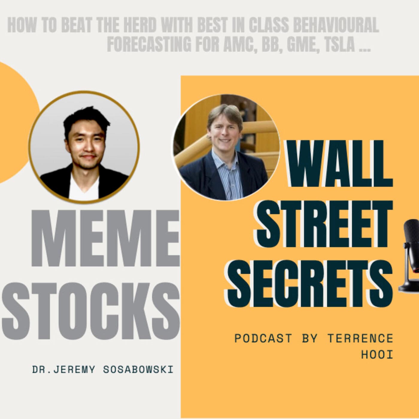 Meme Stocks:  How to Beat the Herd with Best In Class Behavioral Forecasting for AMC, BB, GME, TSLA ... - Against The Machine cover