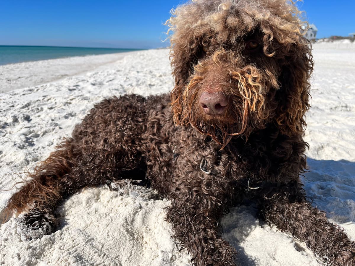 Update: No show this week  - Blocked and Reported cover