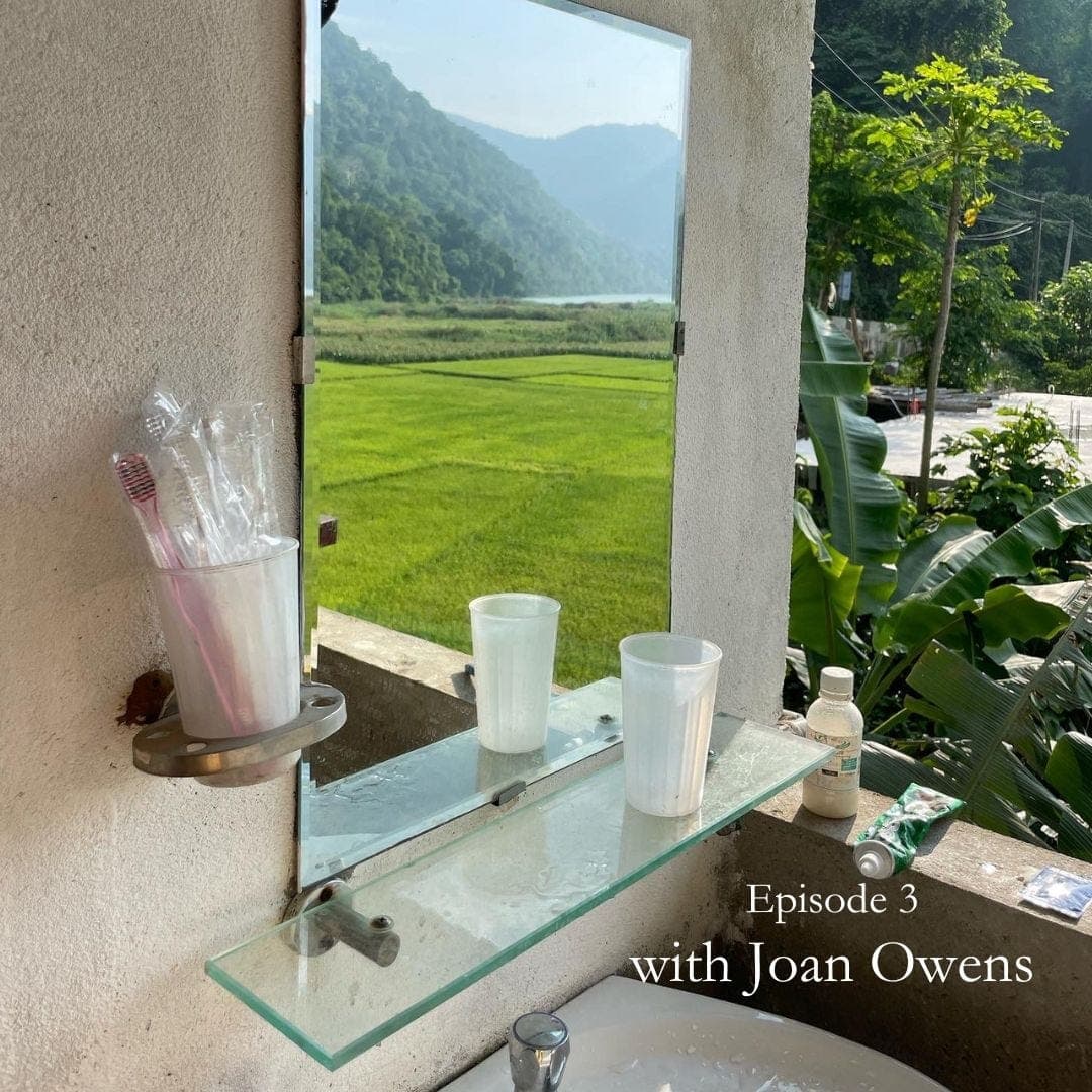 Bathroom Sink w/ Joan Owens - The Bathroom Sink Podcast cover