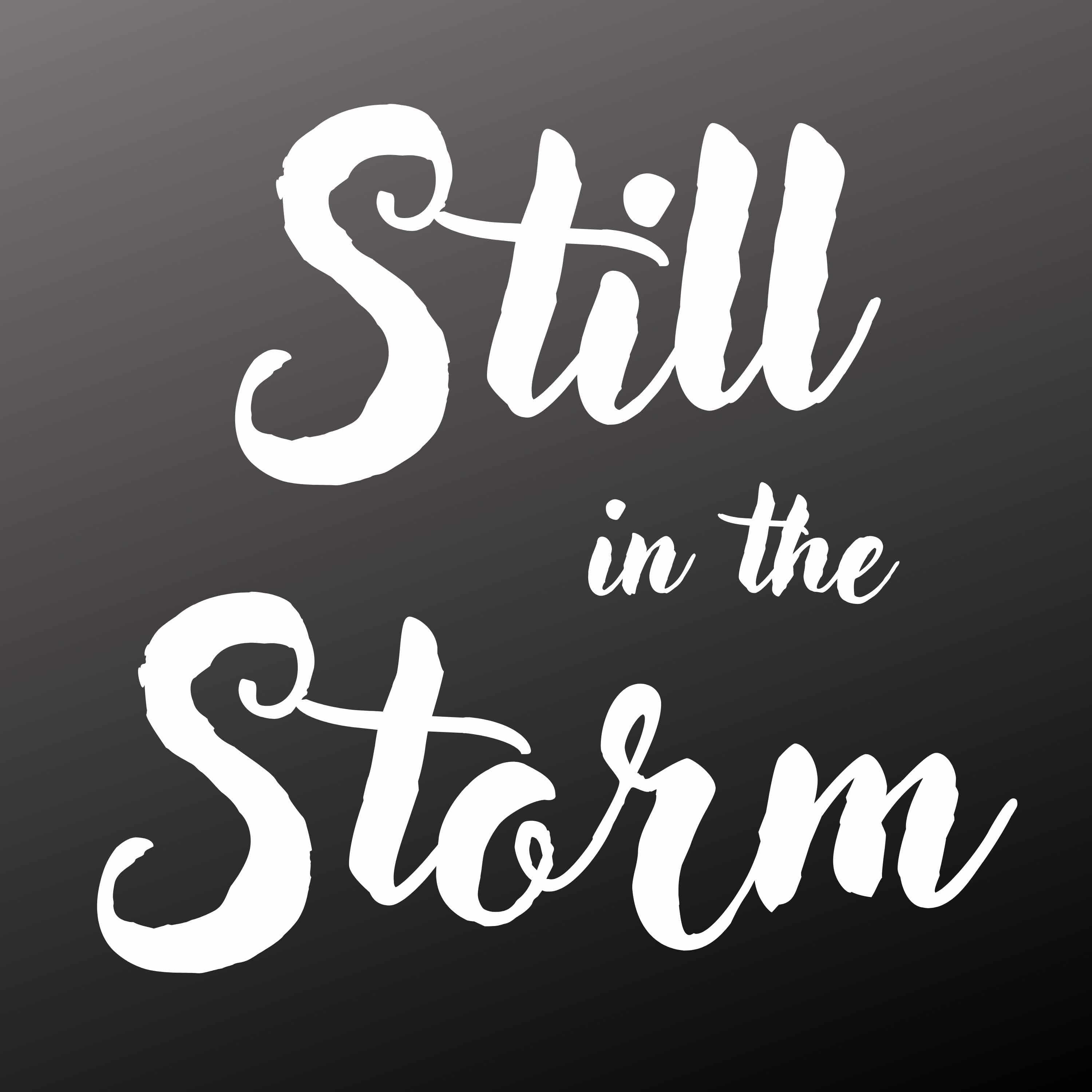 Still in the Storm cover