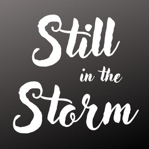 Episode #4 - God's Plans are Not Our Plans - Still in the Storm cover
