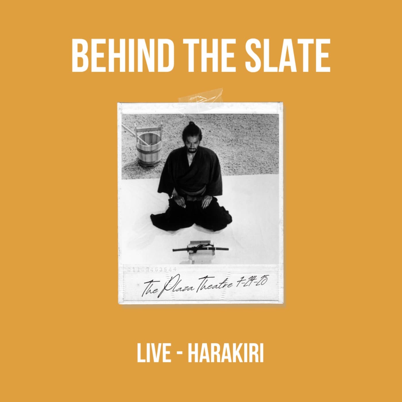 67. 'Harakiri' Live at the Plaza Theatre 7-24-25 - Behind the Slate cover