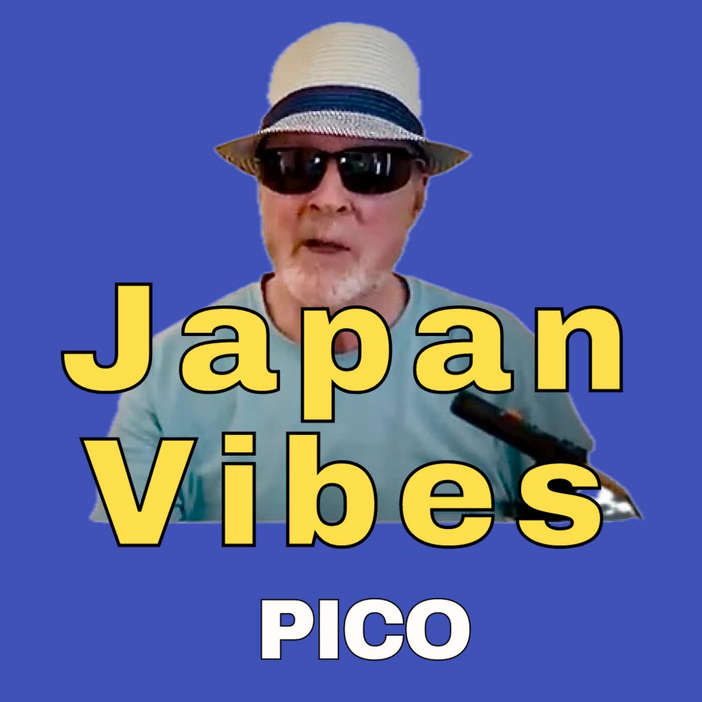 Japan Vibes cover