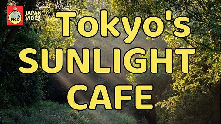 Tokyo's Sunlight Café - 日本語 - Japan Vibes cover