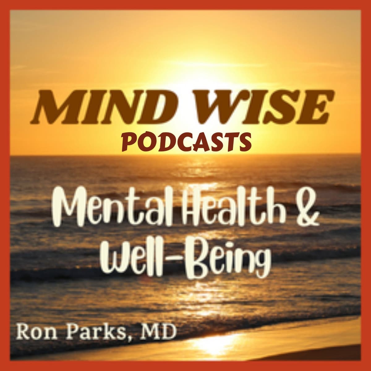 The Gun Narrative and Gaslighting - Mind Wise Videos and Podcasts on holistic mental health, healthcare, & well-being   cover