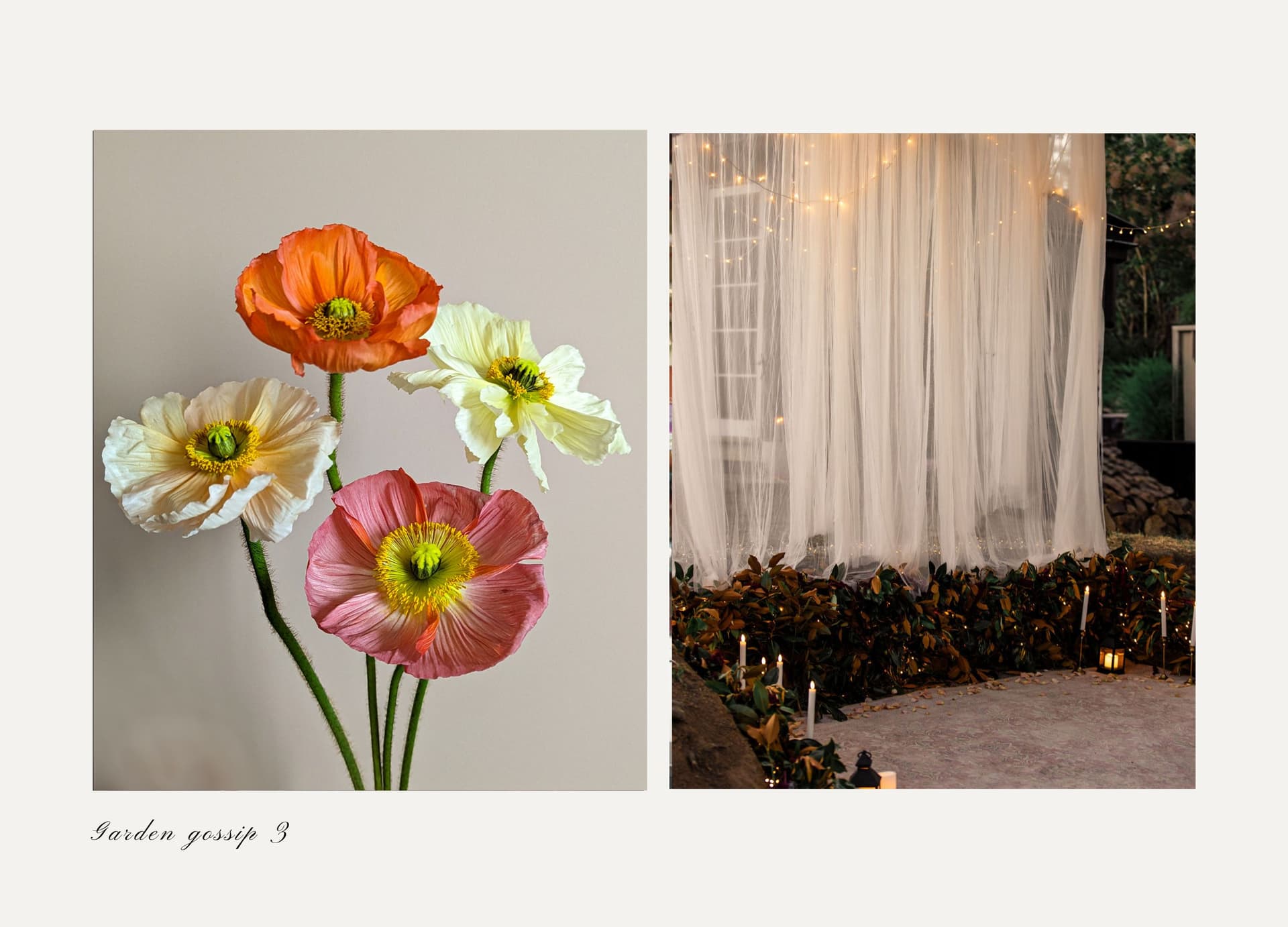 Garden gossip 3 - Flowers & Folklore cover