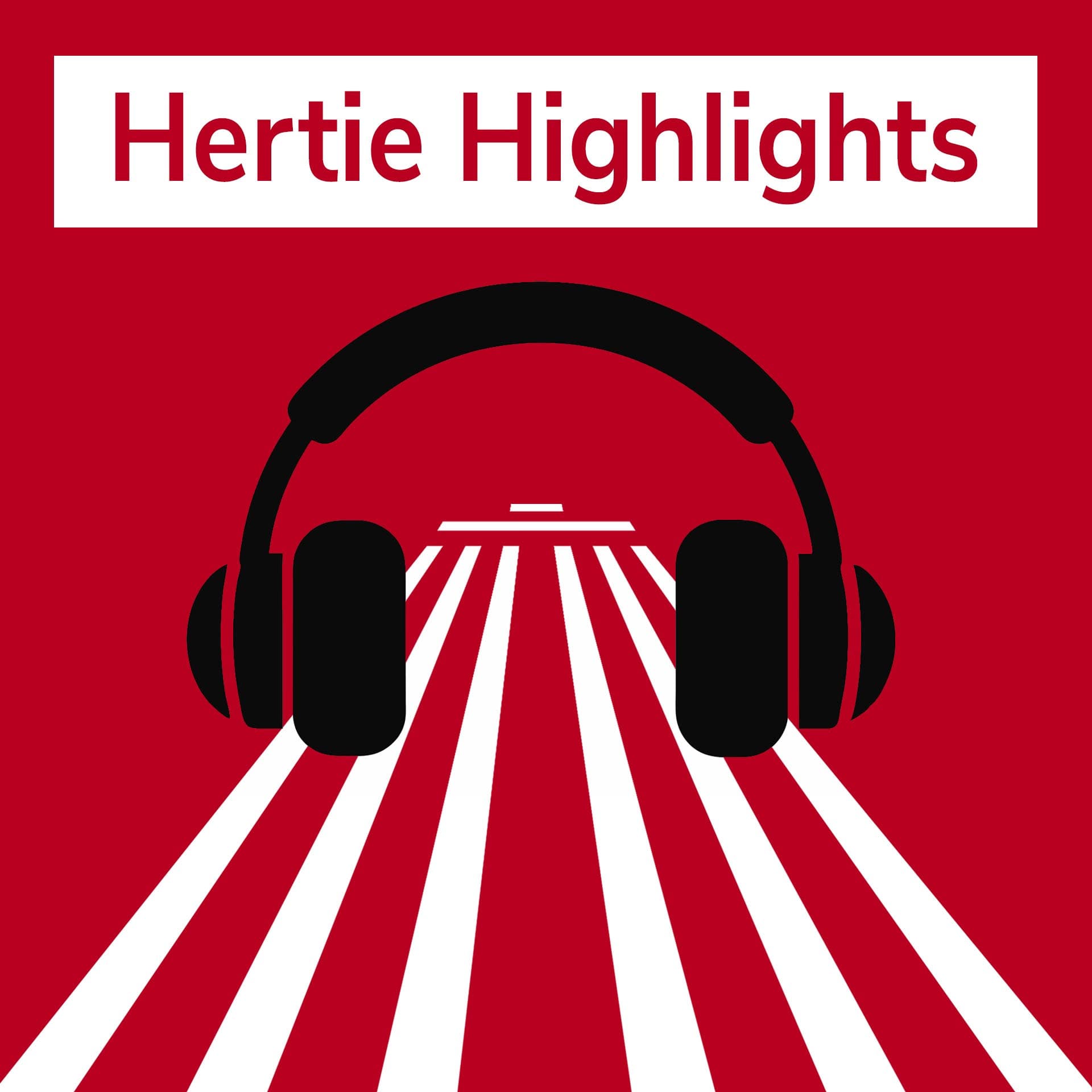 Ali Fathollah-Nejad on Iran - Hertie Highlights cover