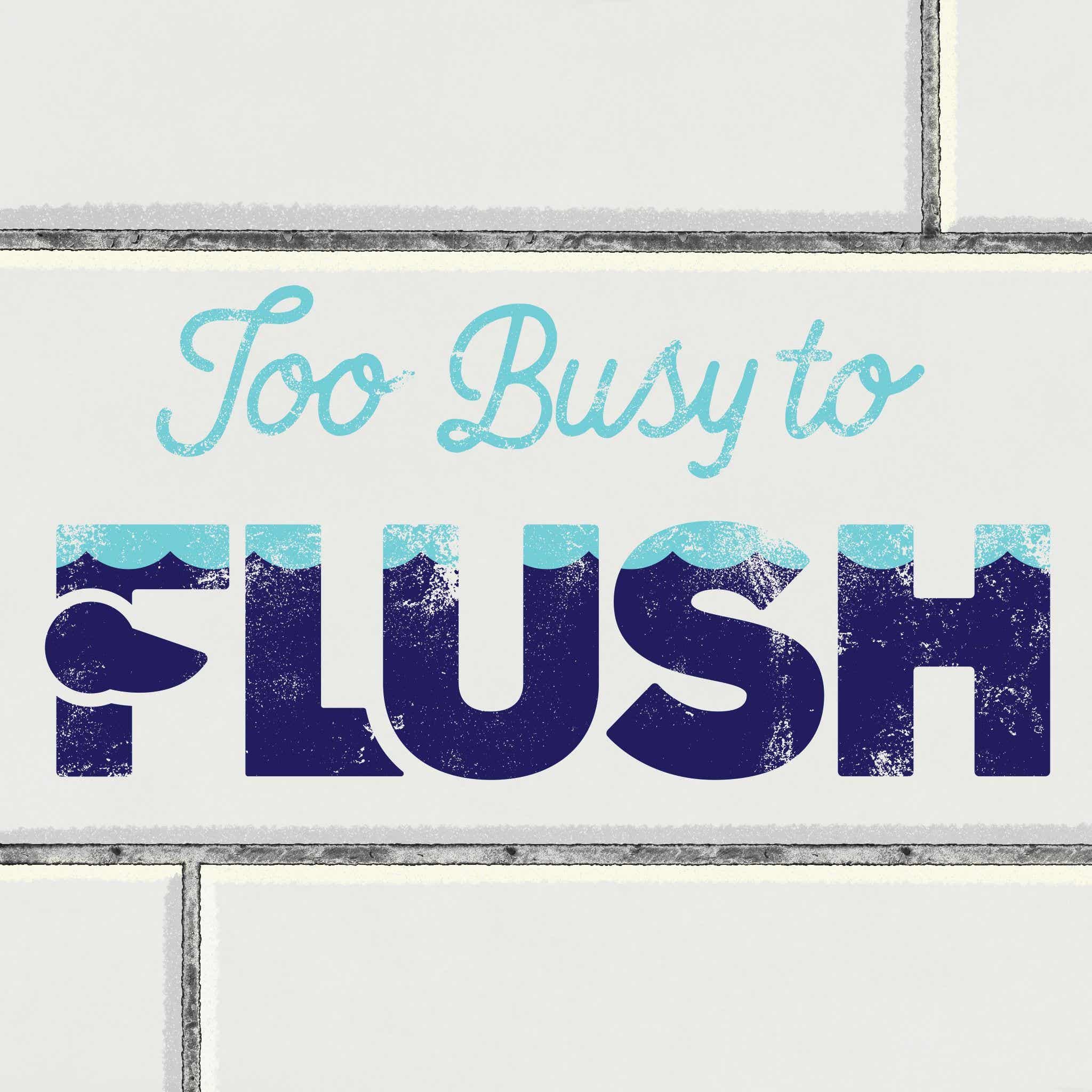 Too Busy to Flush cover