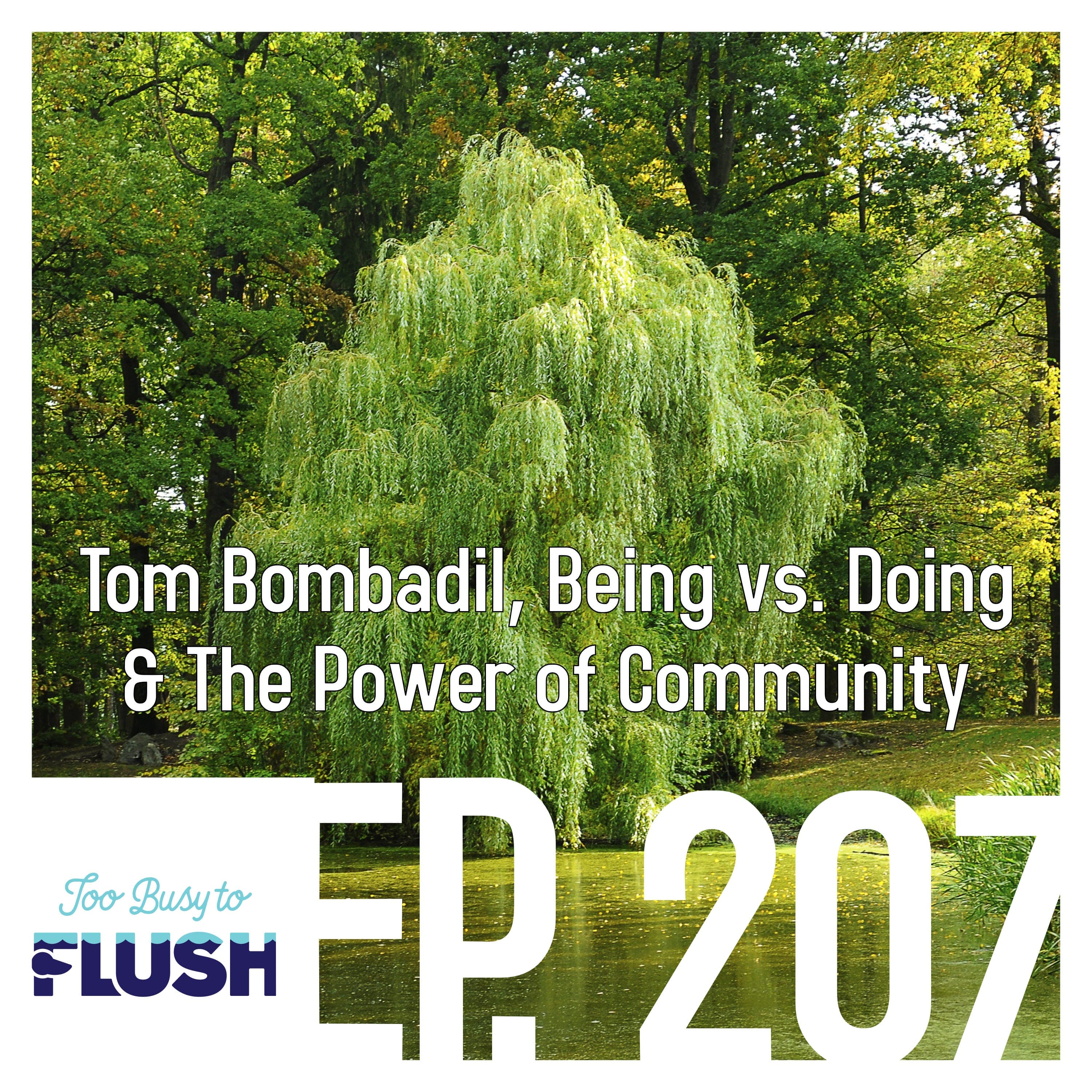 Ep. 207: Tom Bombadil, Being vs. Doing, & The Power of Community - Too Busy to Flush cover