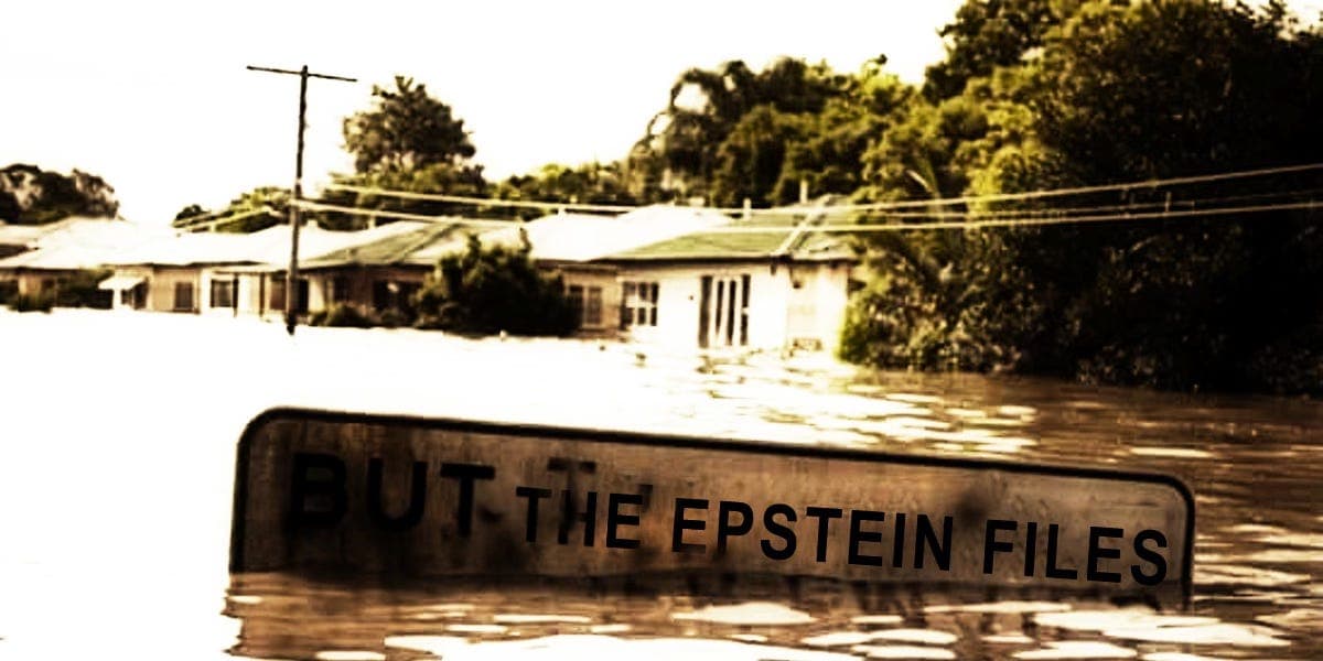 The Epstein Files Are a Gift to the Democrats - Free Thinking Through the Fourth Turning with Sasha Stone cover