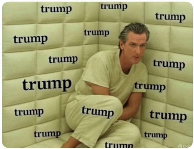 Gavin Newsom Doesn't Want to Beat Trump--He Wants to BE Trump - Free Thinking Through the Fourth Turning with Sasha Stone cover